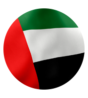 UAE Flag